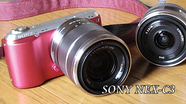 カメラ デジタルカメラ デジタル一眼をゼロから知りたい ソニーNEX-C3カメラ購入まで 